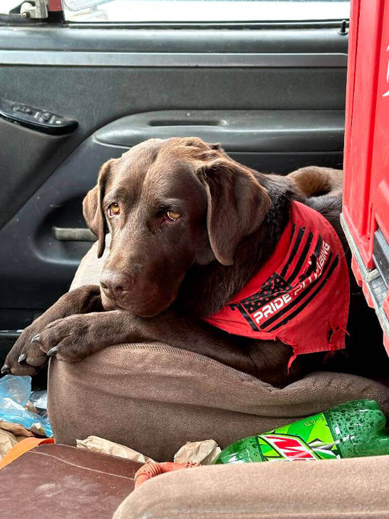 Project Supervisor Charlie (2)